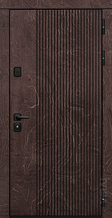Входная дверь для дома Strip (Н.98.L)